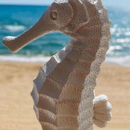 Caballito De Mar Tavernes de Valldigna Dış mekan fotoğraf