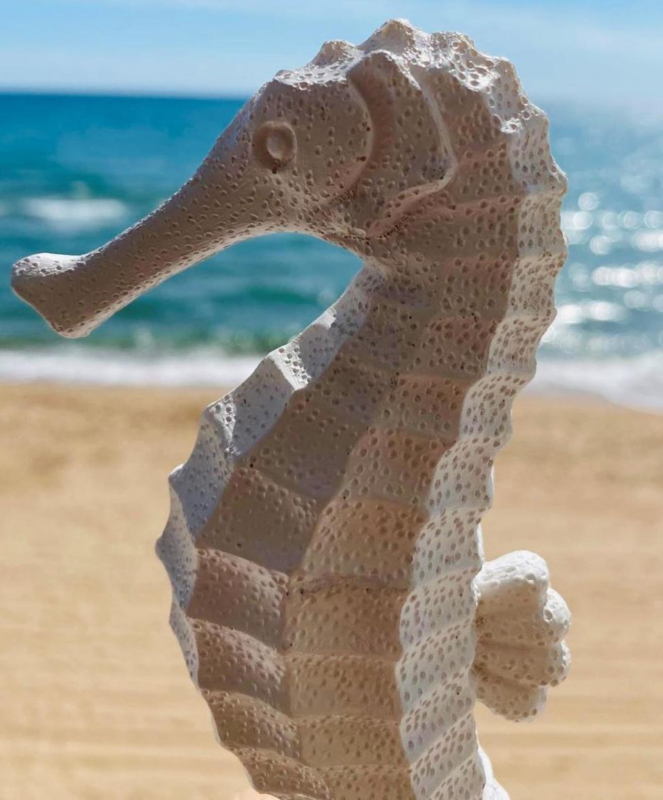 Caballito De Mar Tavernes de Valldigna Dış mekan fotoğraf